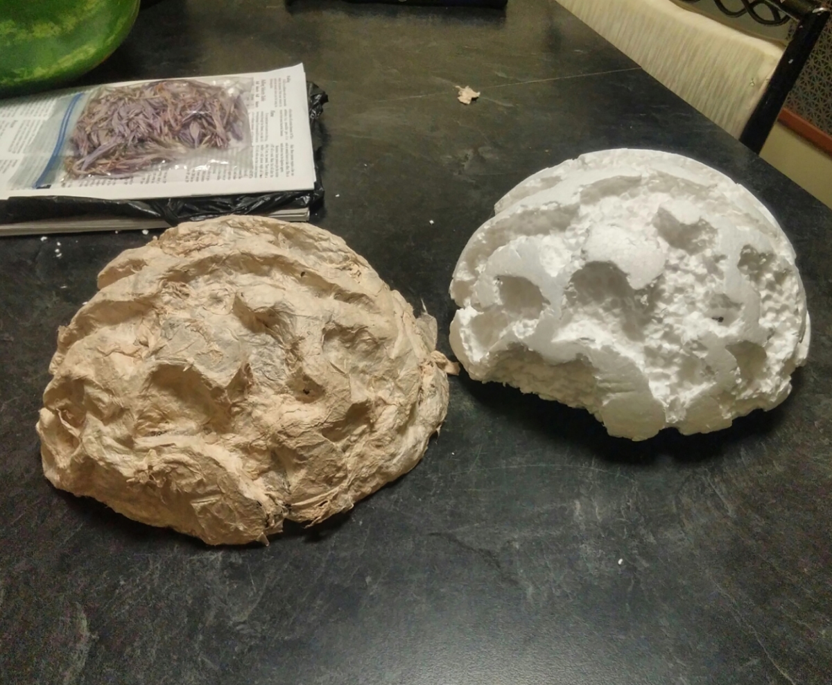 On the left is Tony's mould with gampi fiber over it. On the right is the mould without the fiber.