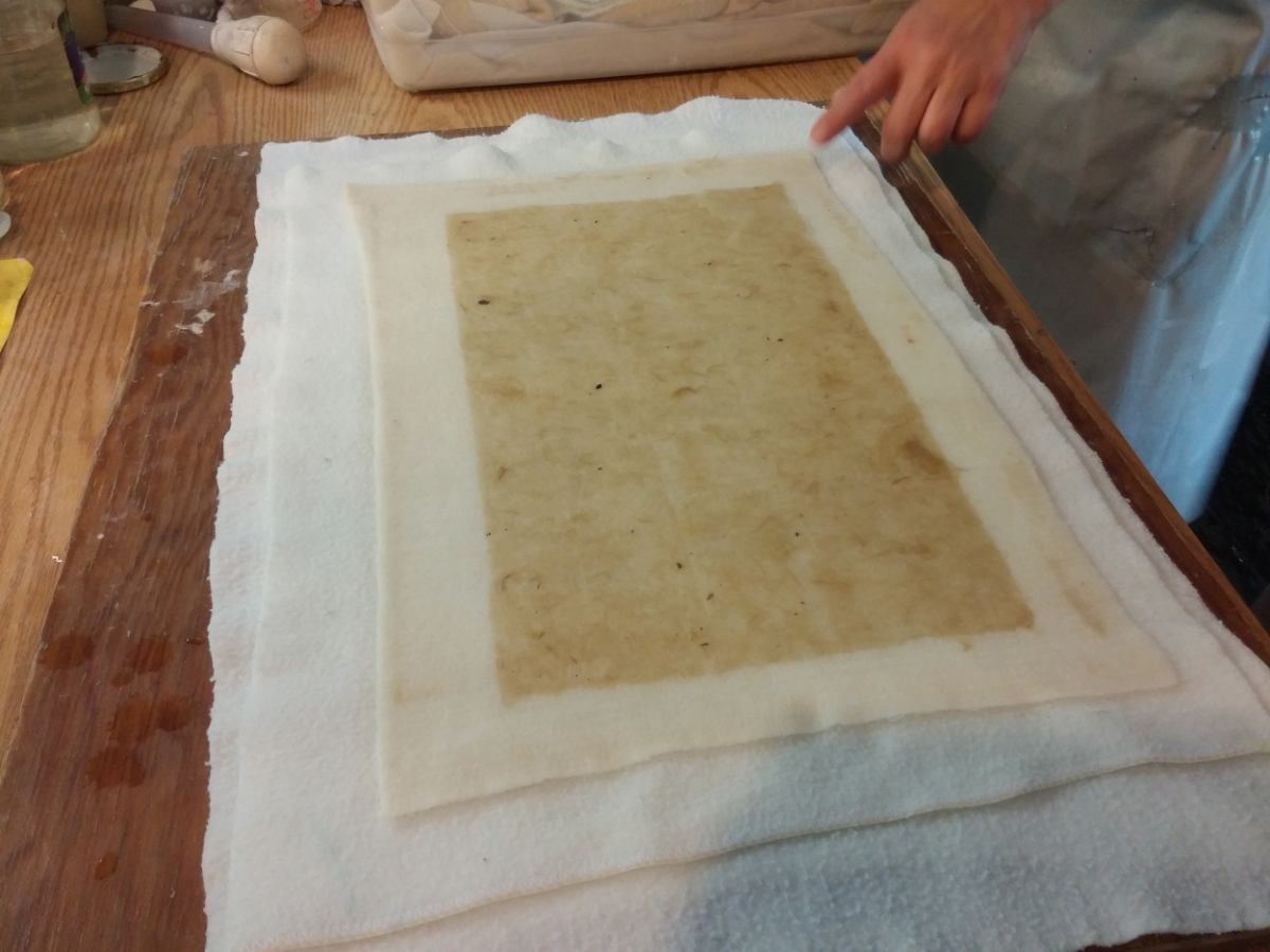A freshly couched sheet of Gampi.