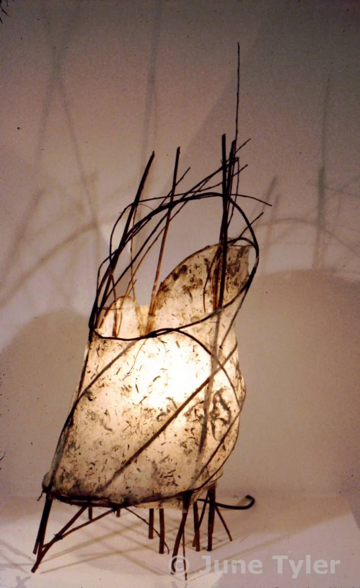 "Dwelling" 2001 Handmade Paper and Willow