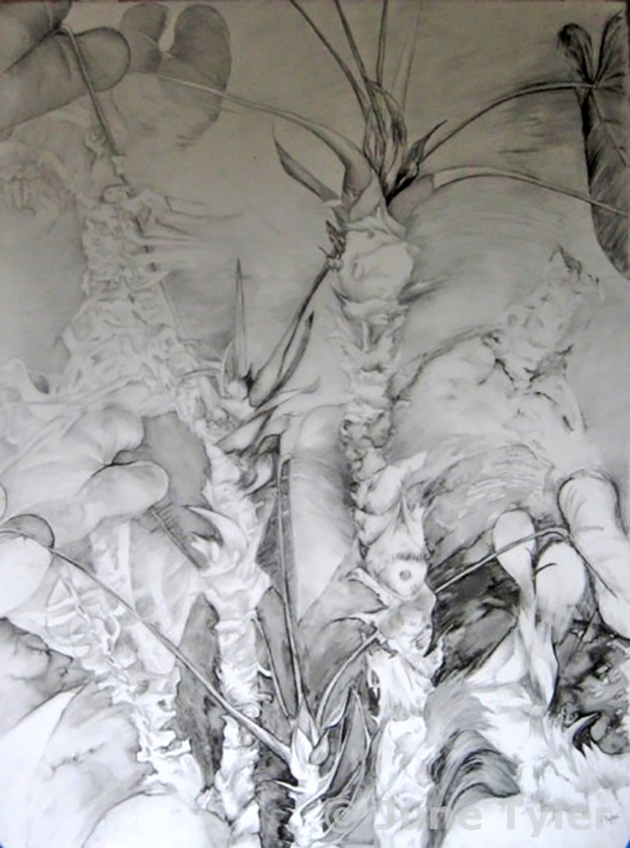  "Comparable Stuctures II" 30" x 22" Drawing on lexan     