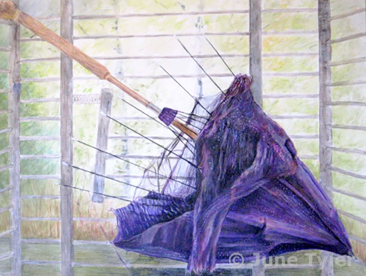  Untitled - For this drawing, I arranged a slightly broken antique umbrella inside an old (but clean) chicken cage. The setting is by the window in my studio with a view slightly visible of the landscape outside.  30" x 22"  Mixed media drawing: Gold