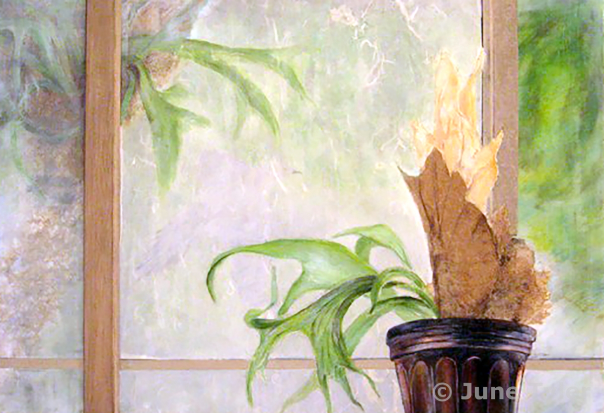  "Staghorn" For this drawing I wanted to show a domesticated staghorn plant inside and outside the window a verson of it in its natural habitat. 35.5" x 26" Mixed media: Golden artist colors and mediums, handmade paper, wood and assorted drawing mate