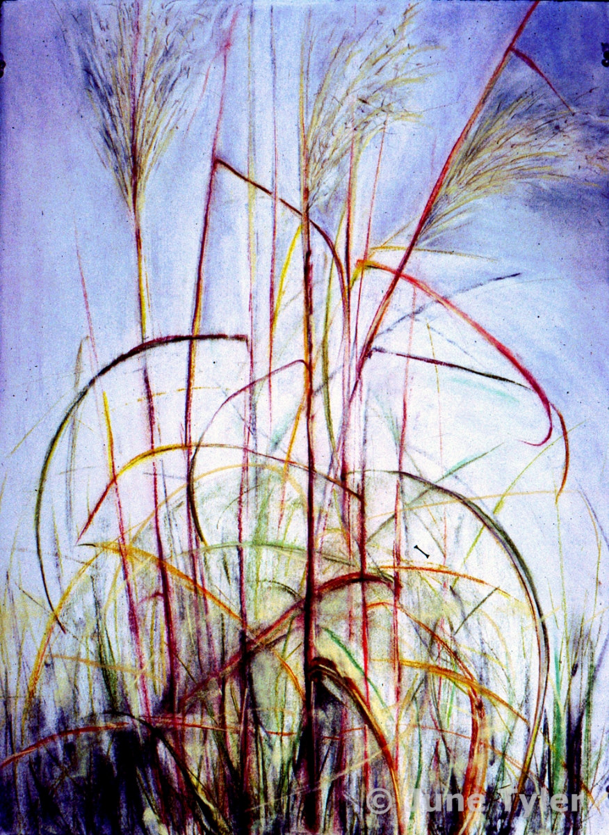  "Fall Meditation" 2004 Pastel Drawing 22" x 30" 