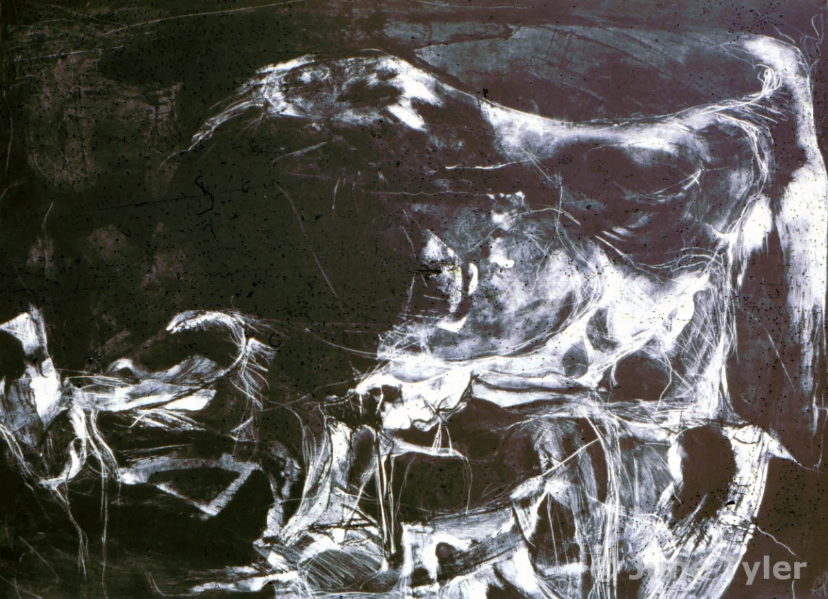 Solitary Prelude #5 1978-79 Lithograph 22" x 30"