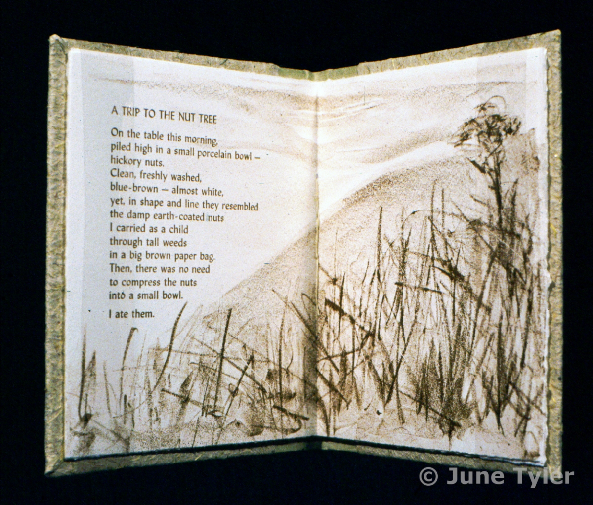  "A Trip to the Nut Tree" 1988 Artist Book 7" x 6" x .5" 