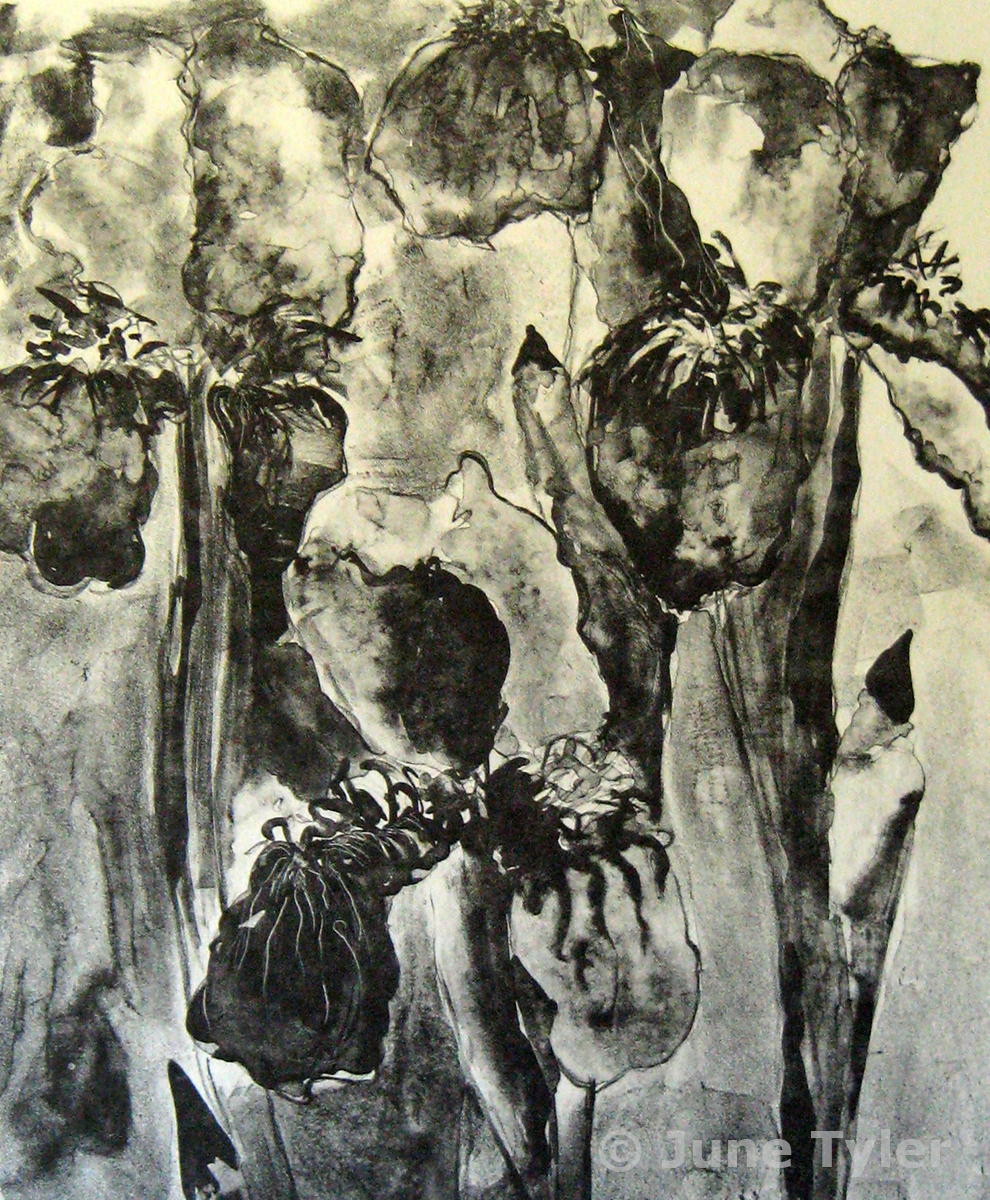  "Iris" V/VI Lithograph - small edition on white and gray Rives BFK 15" x 12" paper size 1987 