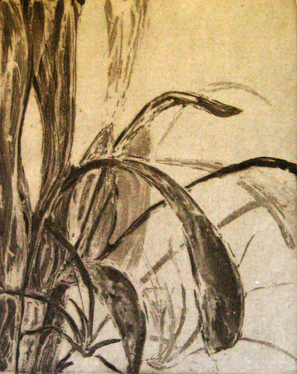  "Leaves" 2009 Intaglio 4/25 on handmade flax paper 11" x 8.5" (Image size)    