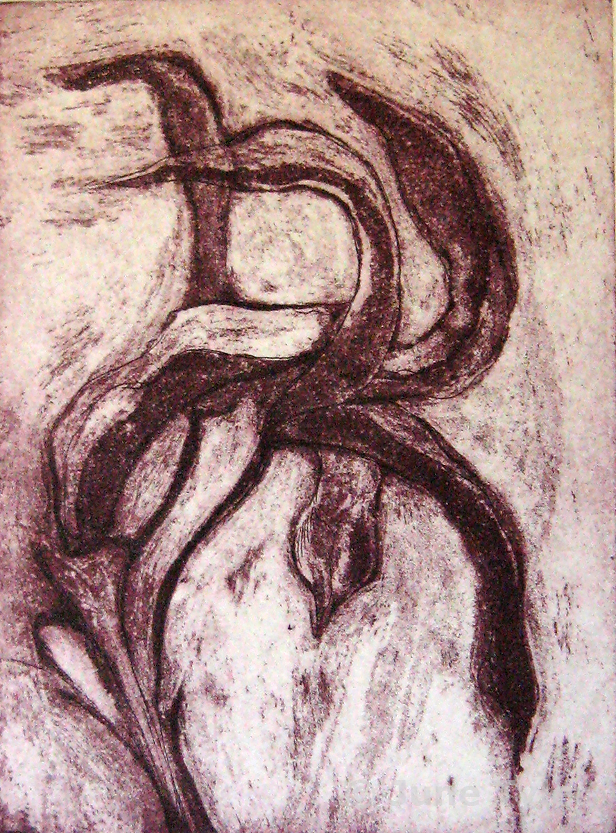  "Seed Pods in the Wind" 2007 Intaglio 8/14 6" x 4.25" (image size)   