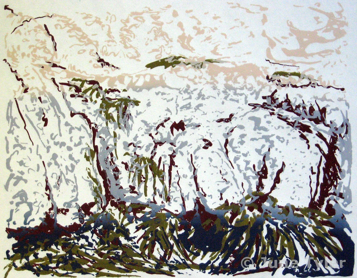 "Low Tide" 2011 Silkscreen (18/21 - 21/21 still available) 10" x 8"