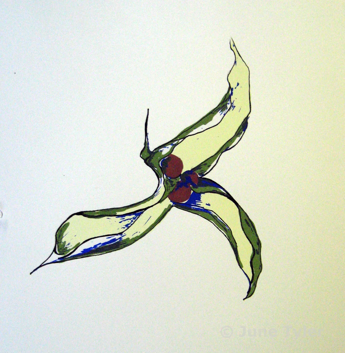 "Free Fall" 2014 Silkscreen 8/20 15" x 11" (paper size)