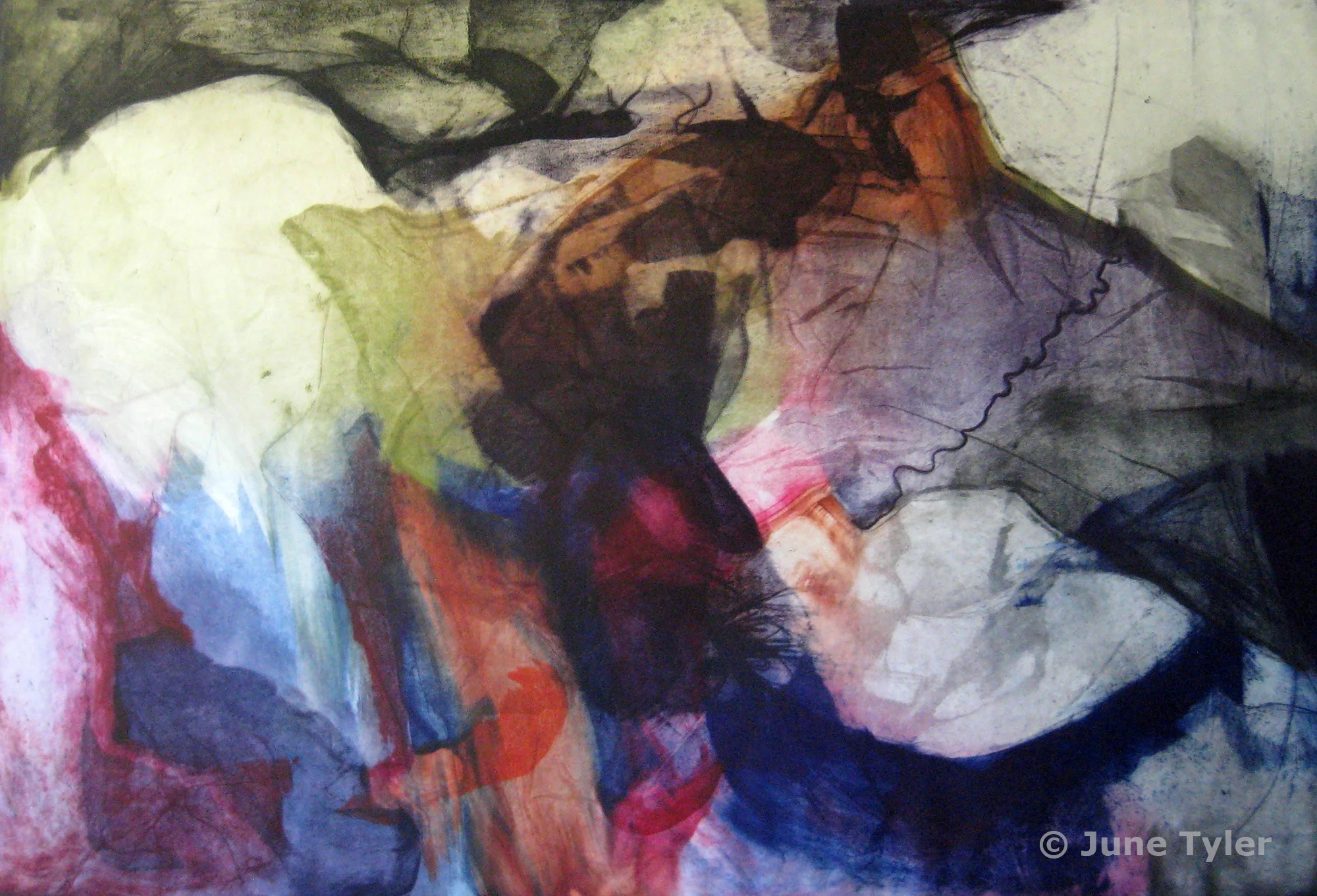 "Veins... Living Space" 1978 Intaglio Monoprint 23.75" x 35"