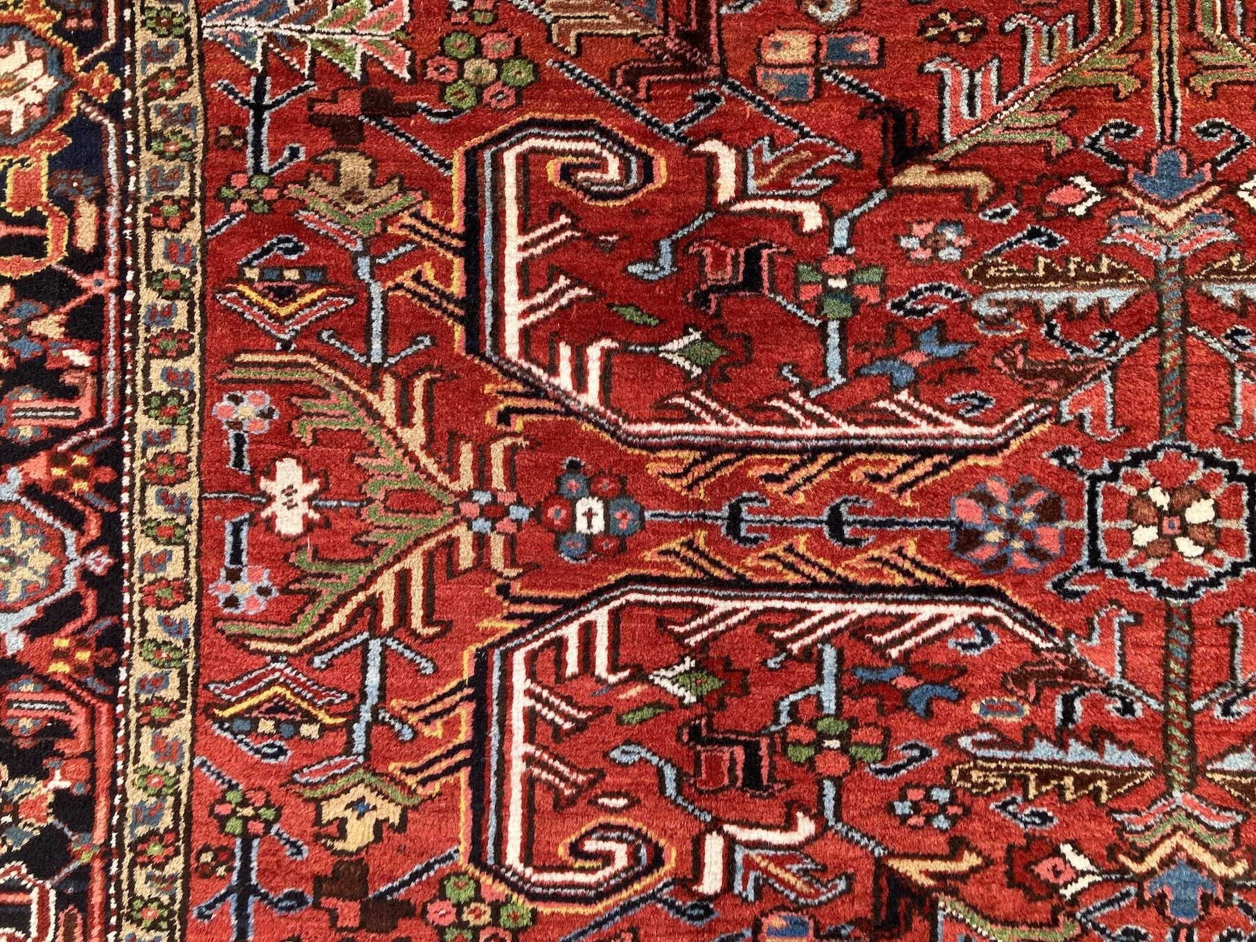 22.12.00011_9 Antique Persian Heriz Carpet.JPG