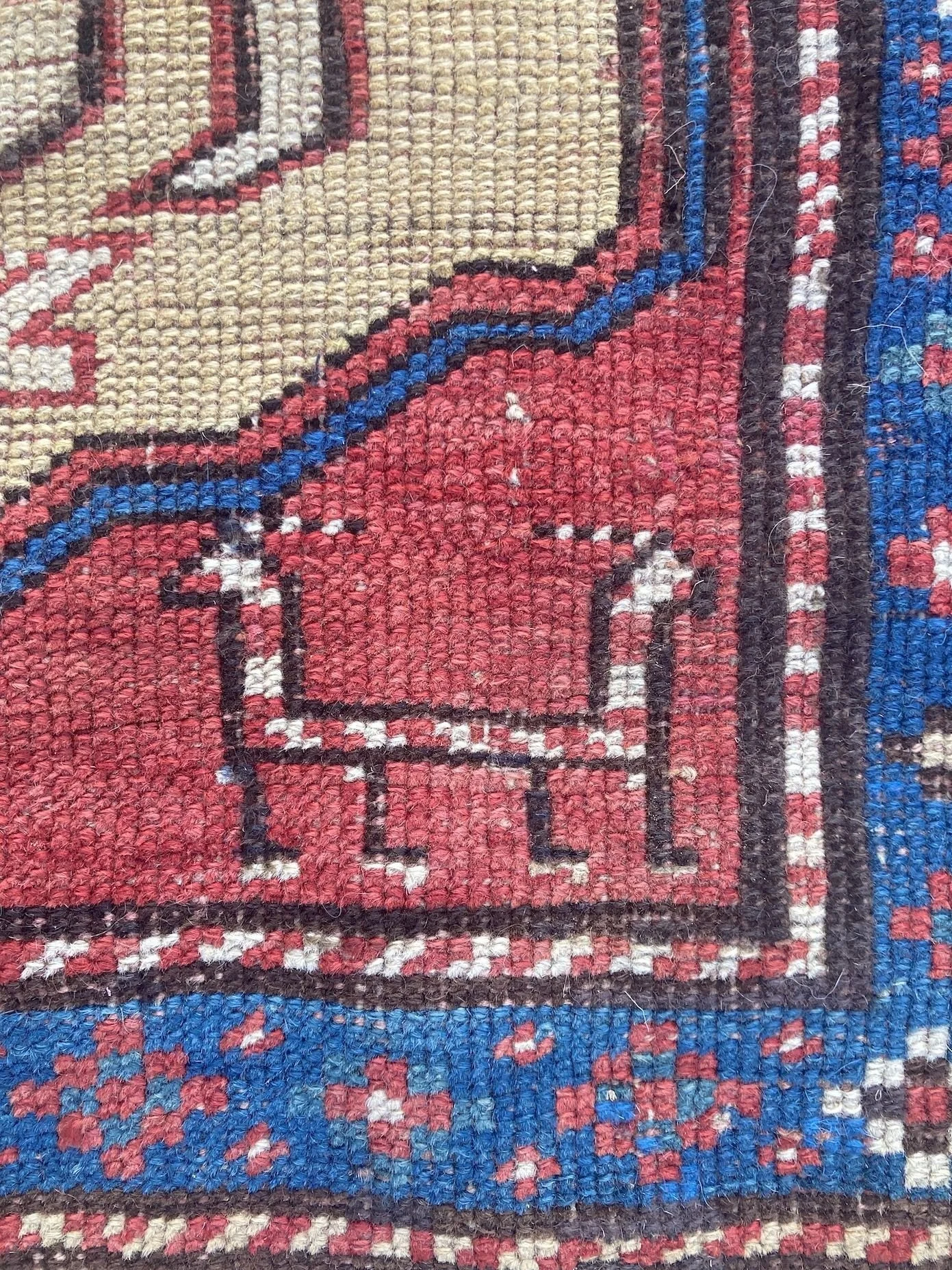 14_24_01_00001_14_Antique_Caucasian_Moghan_Rug.jpeg