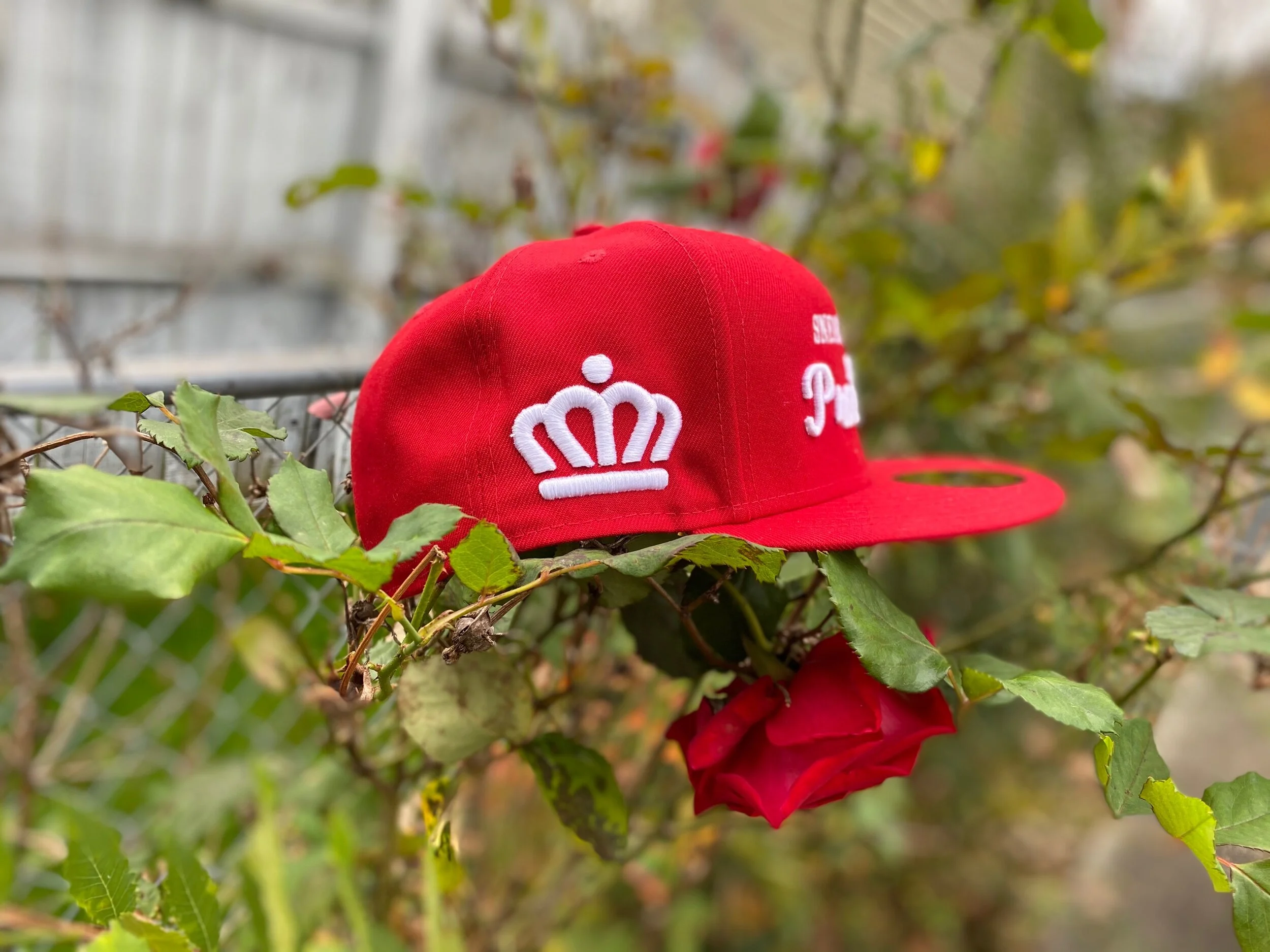 65F0890C-2F54-4380-A61E-72233109889C