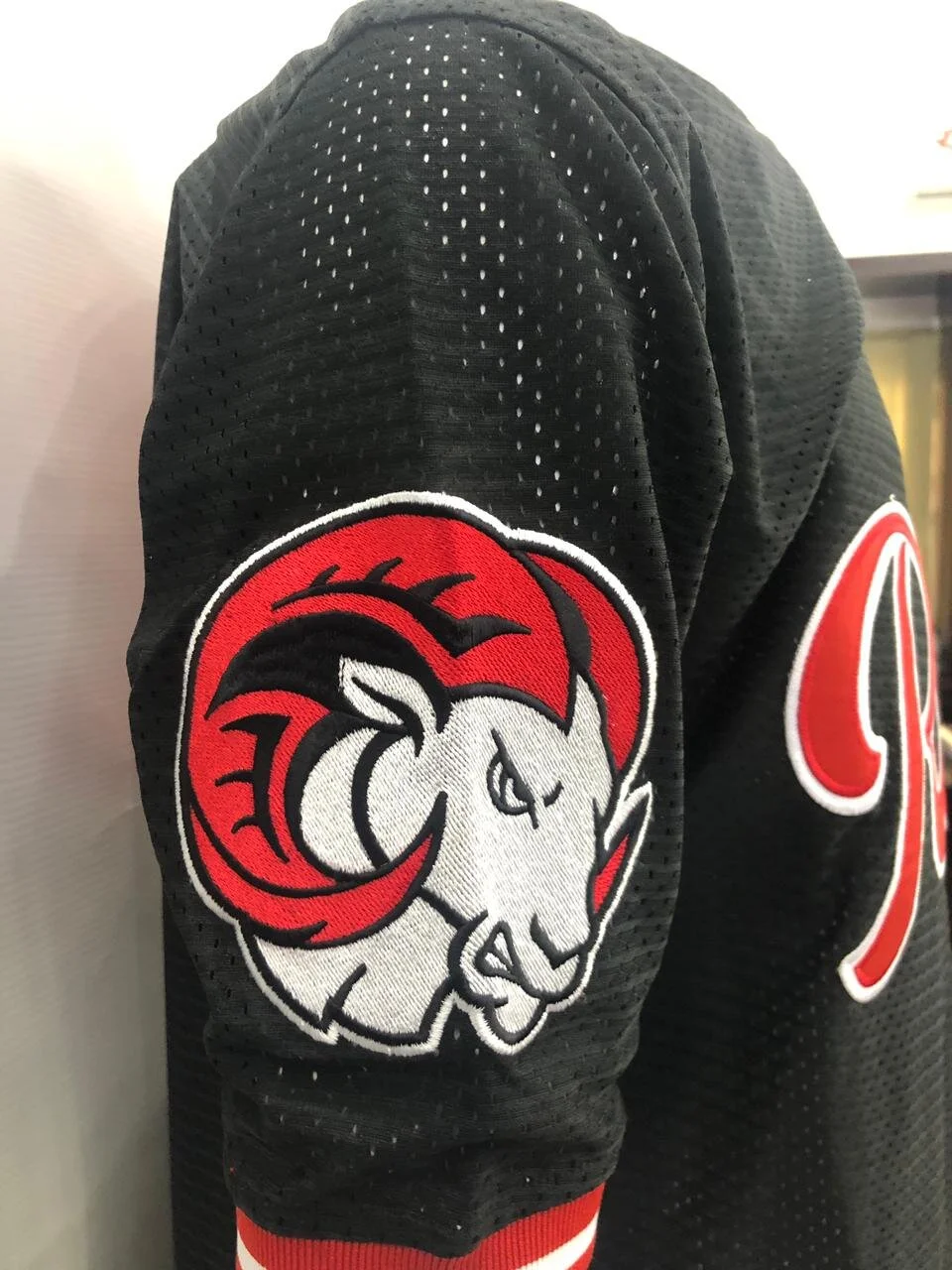 013EBD0B-642C-4EE3-8A15-8DC960687FC5