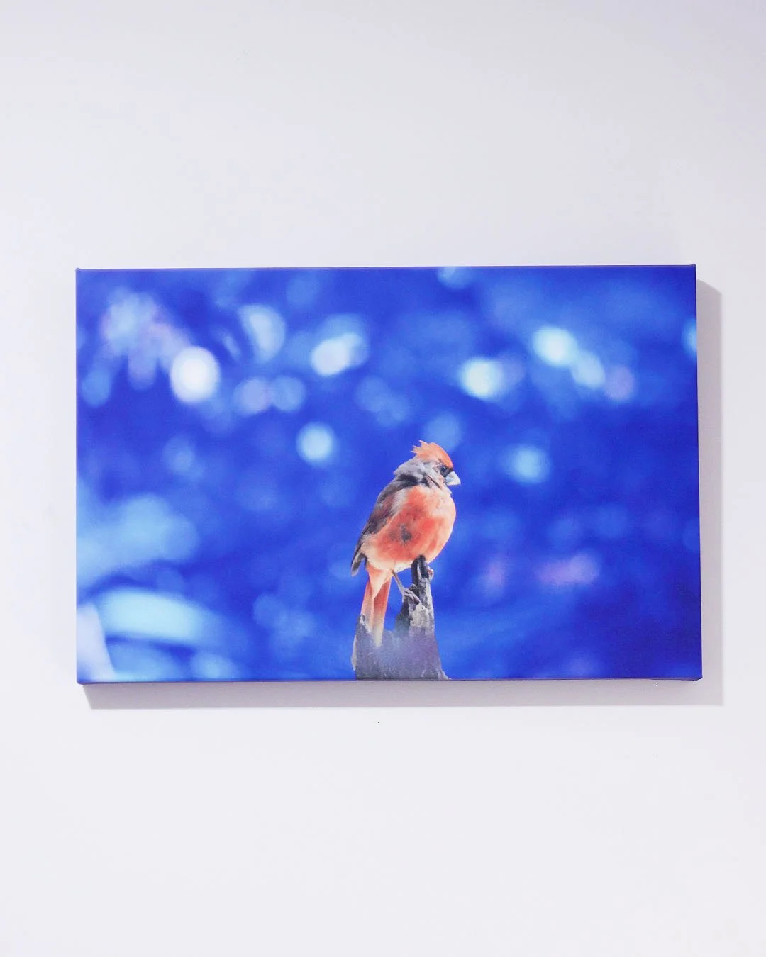 Red_on_Blue_Canvas_Prints_6_Front.jpg