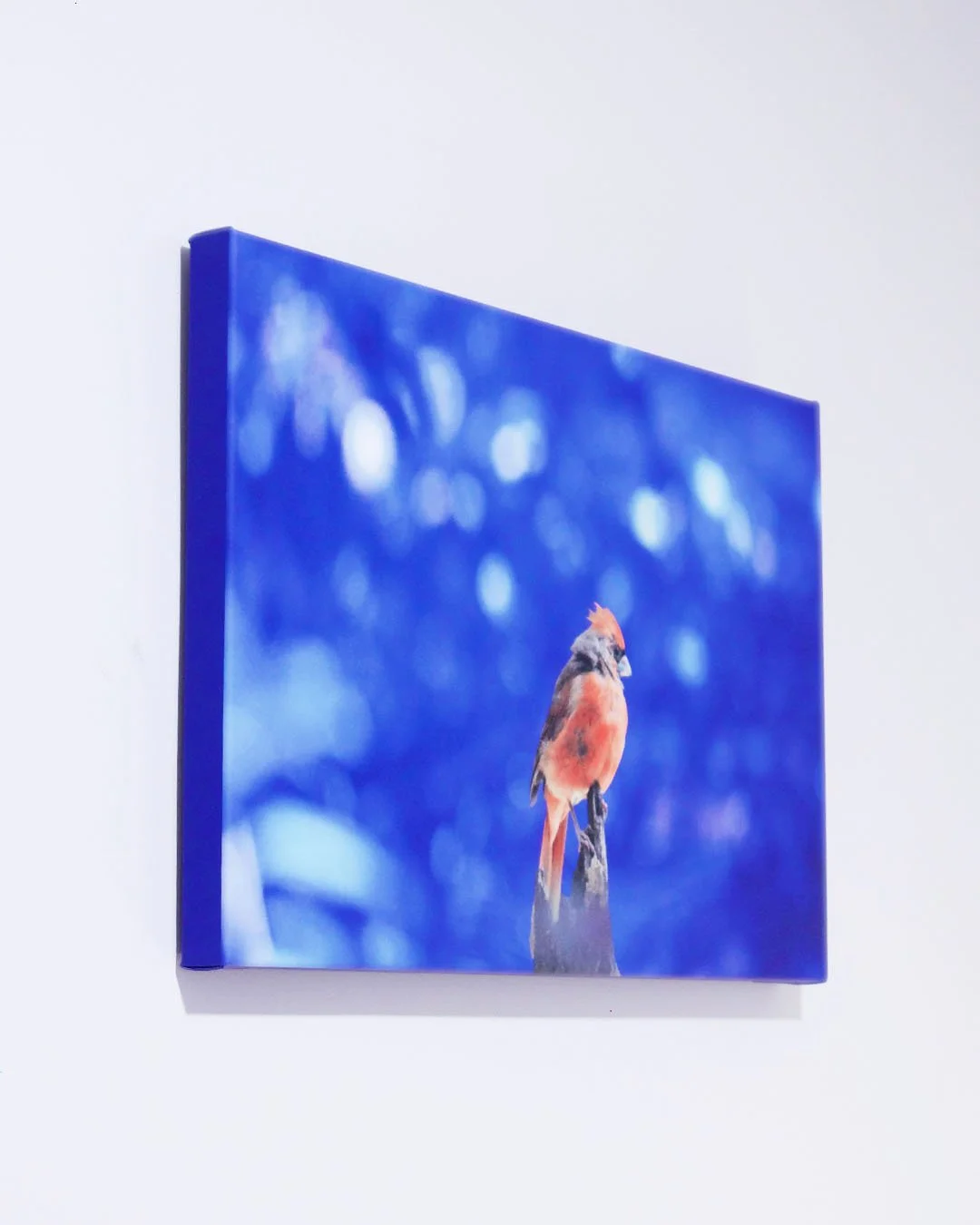 Red_on_Blue_Canvas_Prints_6_Side.jpg