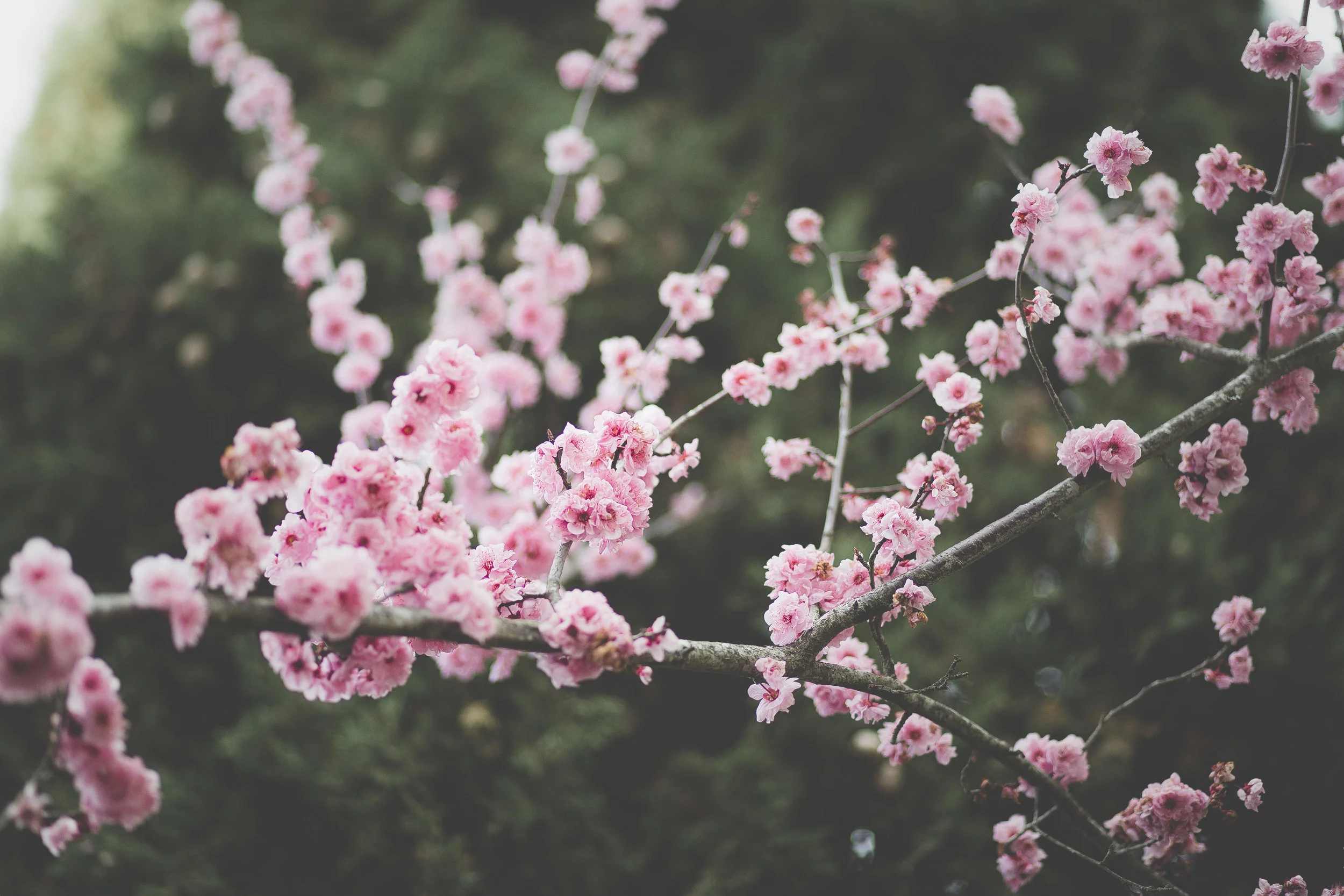 Misconceptions of an Introvert