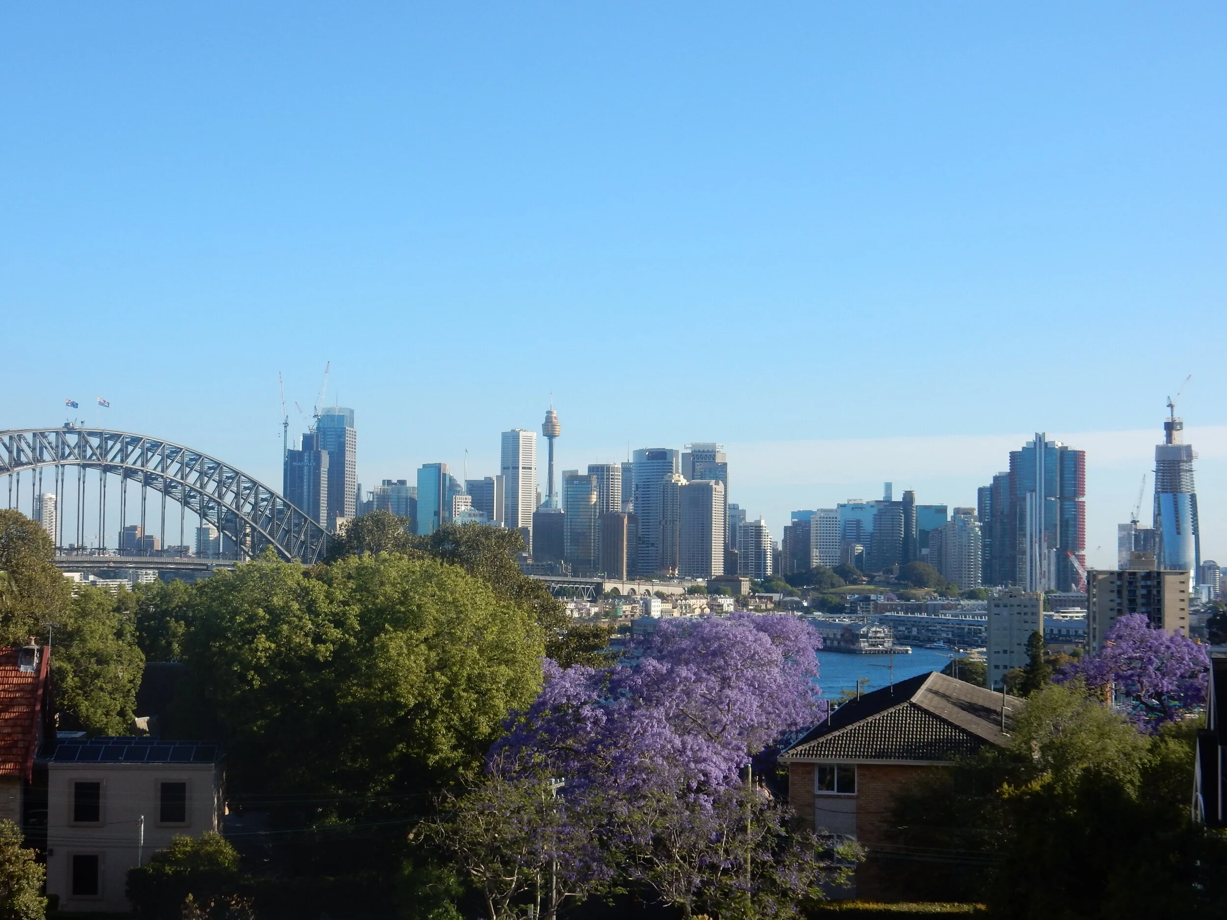 Travel Diaries: The Best Walk To See Sydney's Major Sites