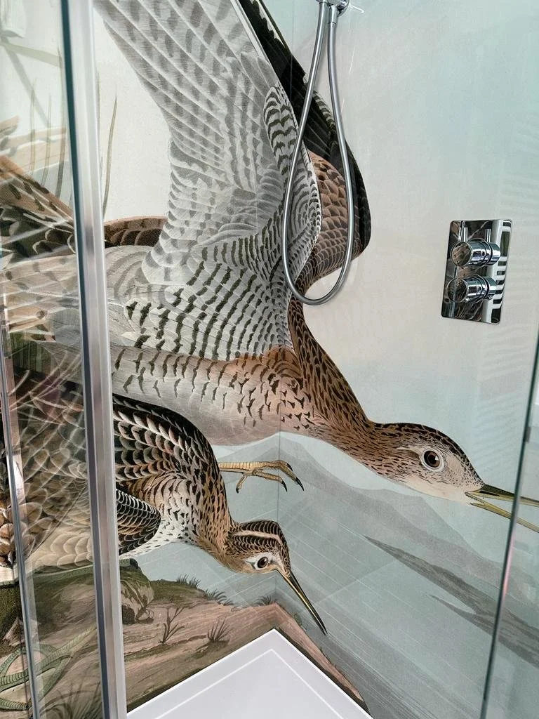 Detail close up image of Audubon bird art print, wrapping around the corner of a shower wall. Come shower mixer and wall mounted shower head hose.