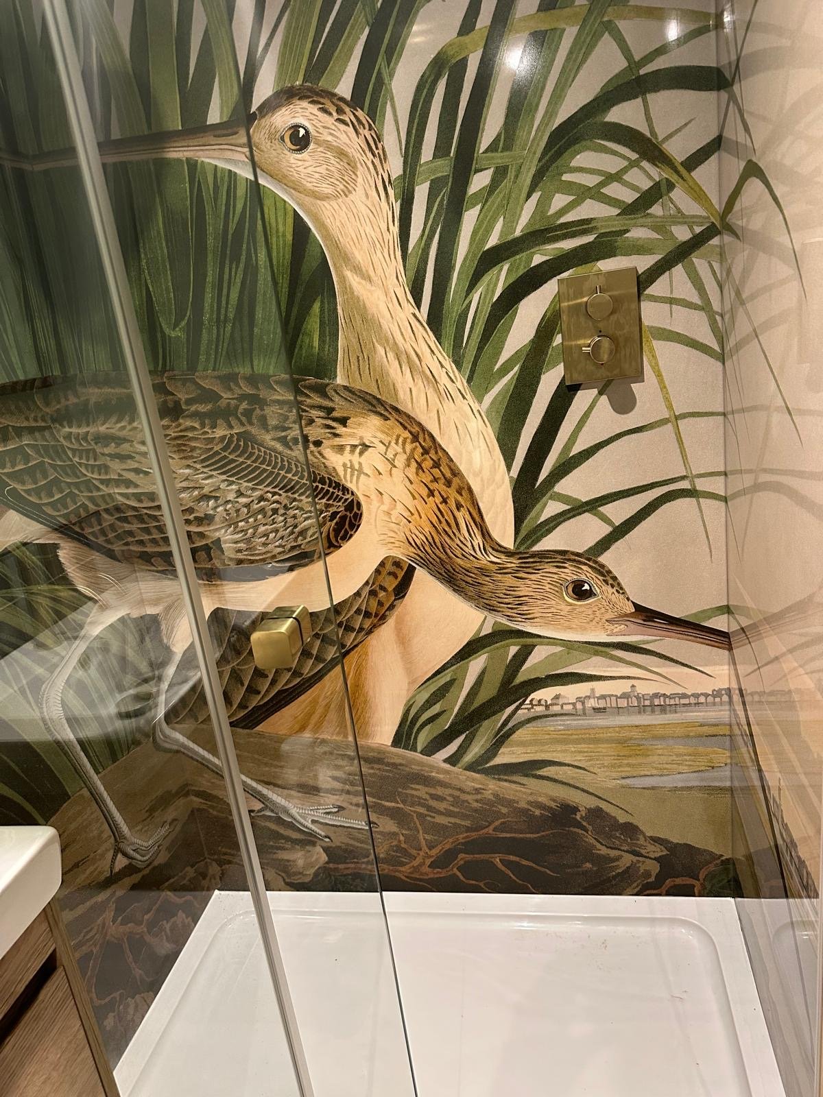 b4336707-dd17-446d-ae01-226adcc36a68.JPG