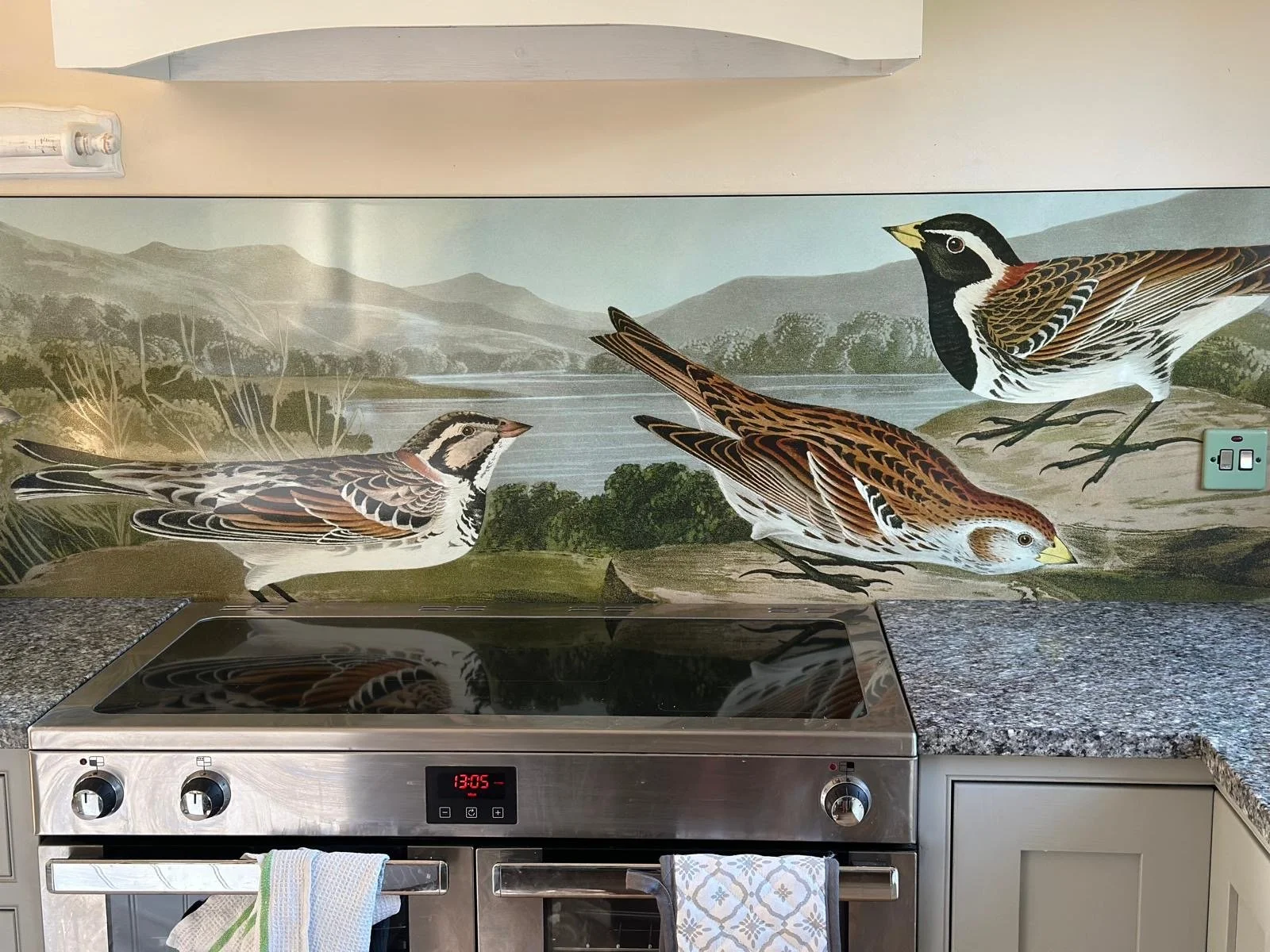 Custom Image Kitchen Splashback Panels 