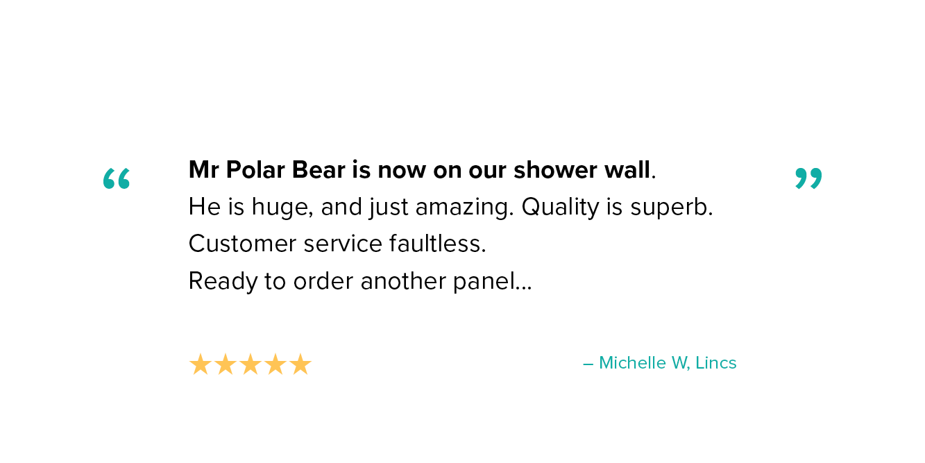 Customer review 6 - Trustpilot