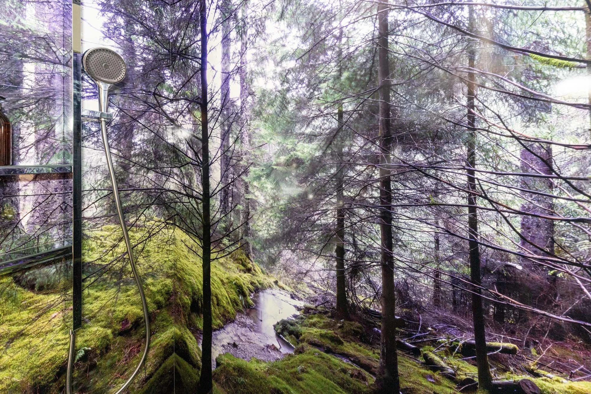 North Yorkshire-5.jpg