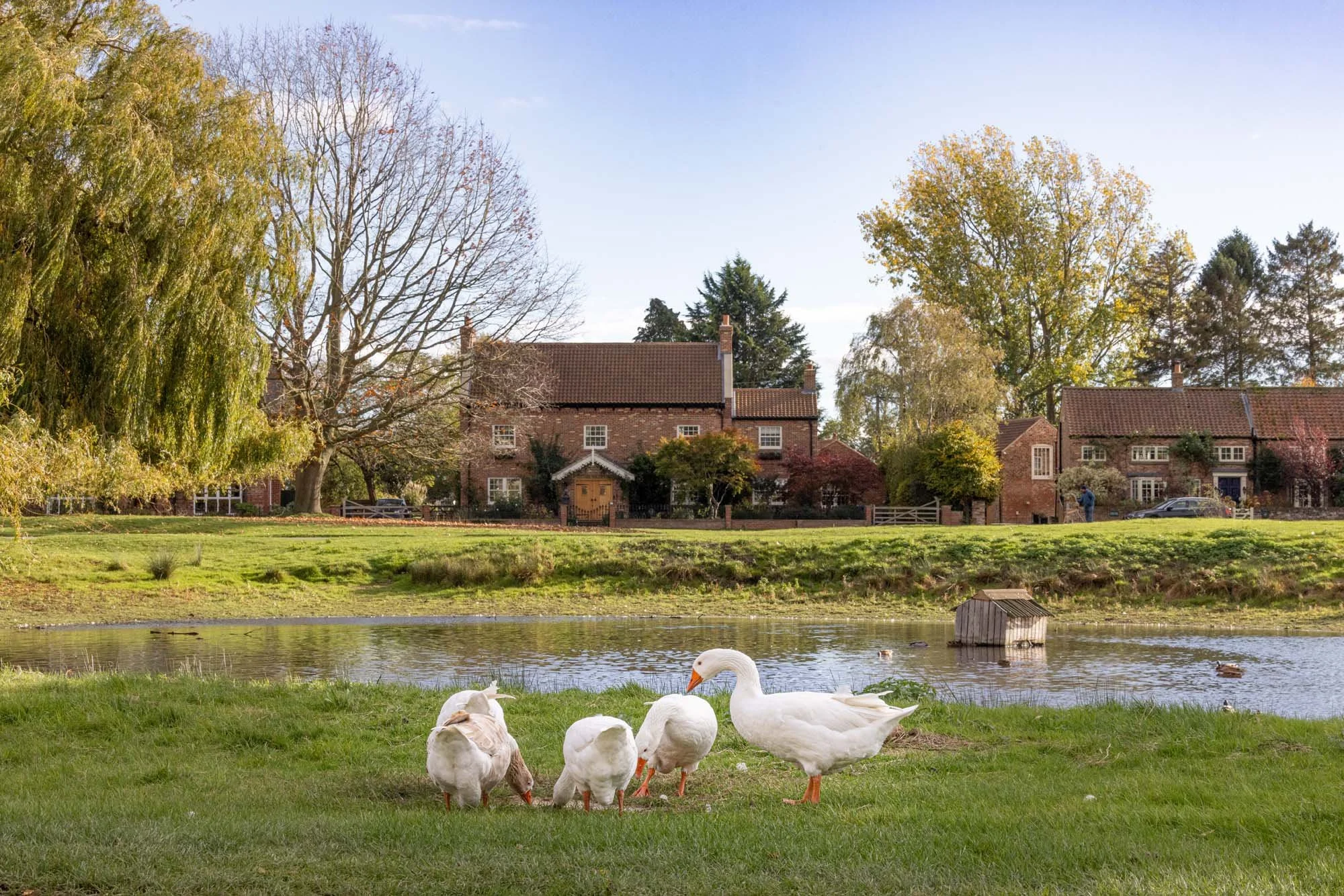 North Yorkshire-155.jpg