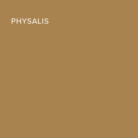 Single colour panels - Physalis.png