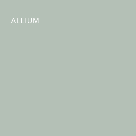 Single colour panels - MD_Allium.png