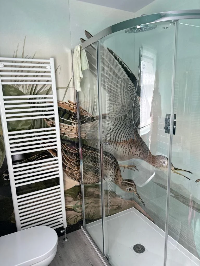 Audubon Bartram Sandpiper print art shower panels installed in a corner shower. Curved glass shower enclosure and white towel rail.