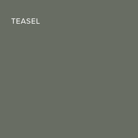 Single colour panels - MD_Teasel.png