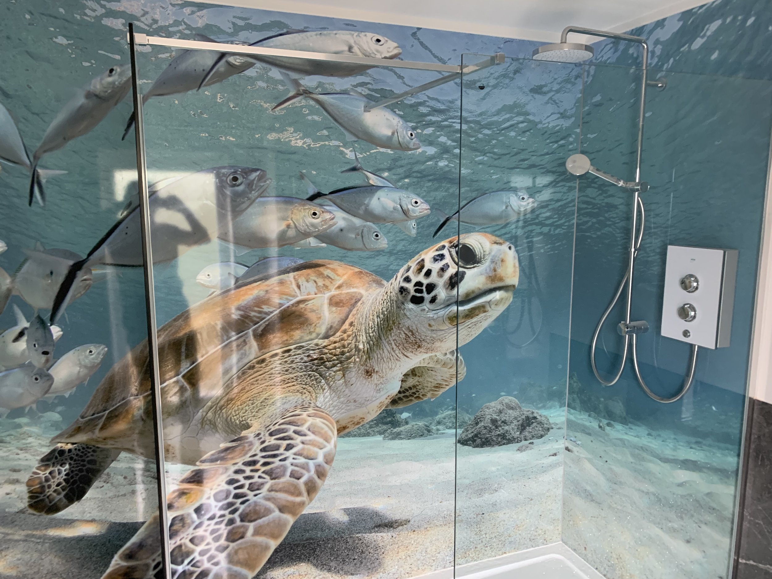 shower area with showerscape shower panels with a Turtle image on the walls instead of tiles. Mainly blue, turtle swimming underwater.