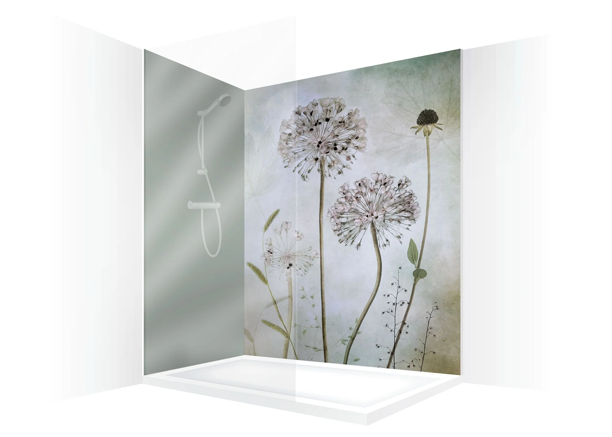 RENDER panels MandyD_Allium_2000px.jpg