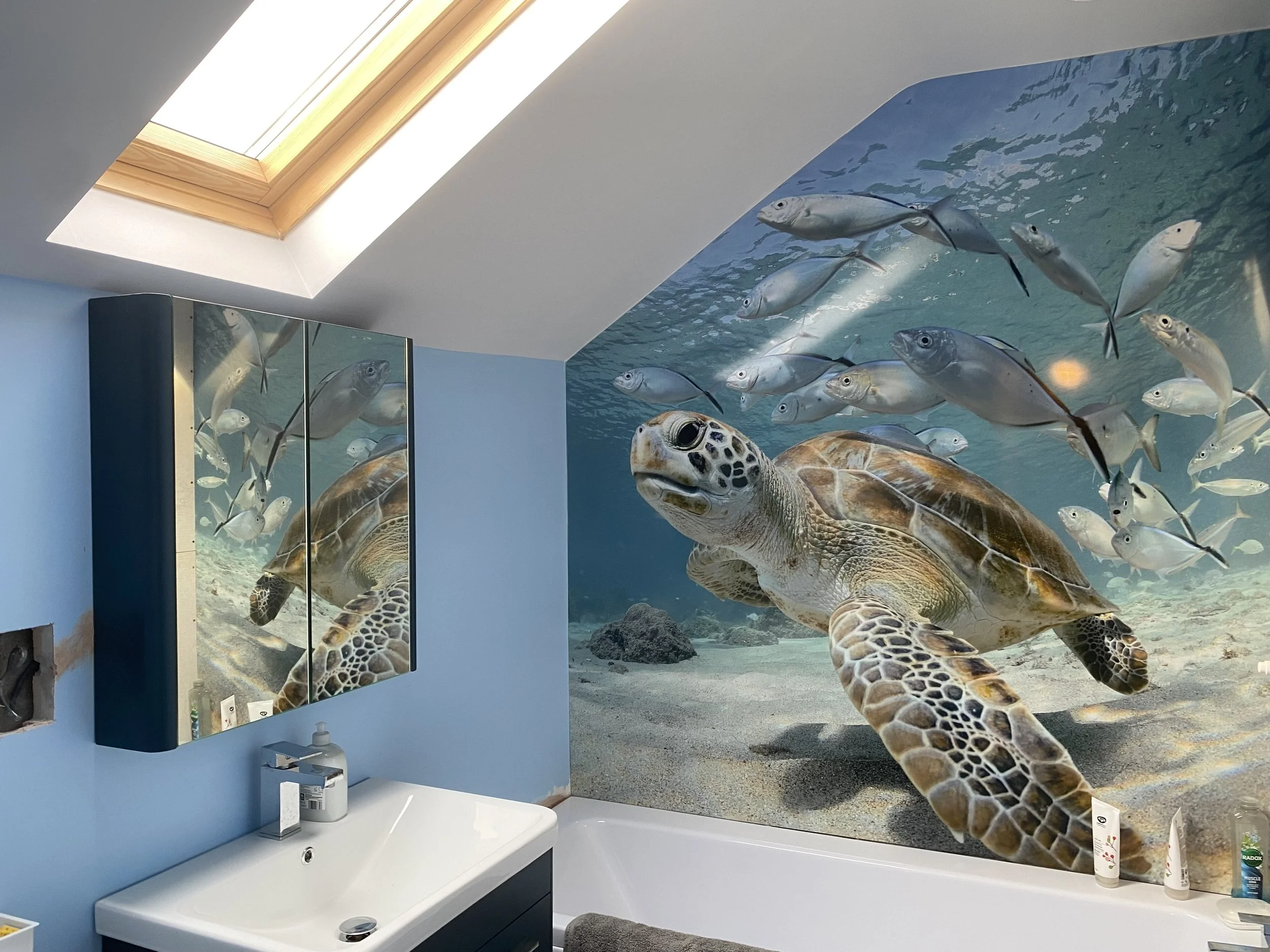 Compact bathroom with sloping ceiling, with Turtle image feature shower panel above the bath, also reflected in a mirror.