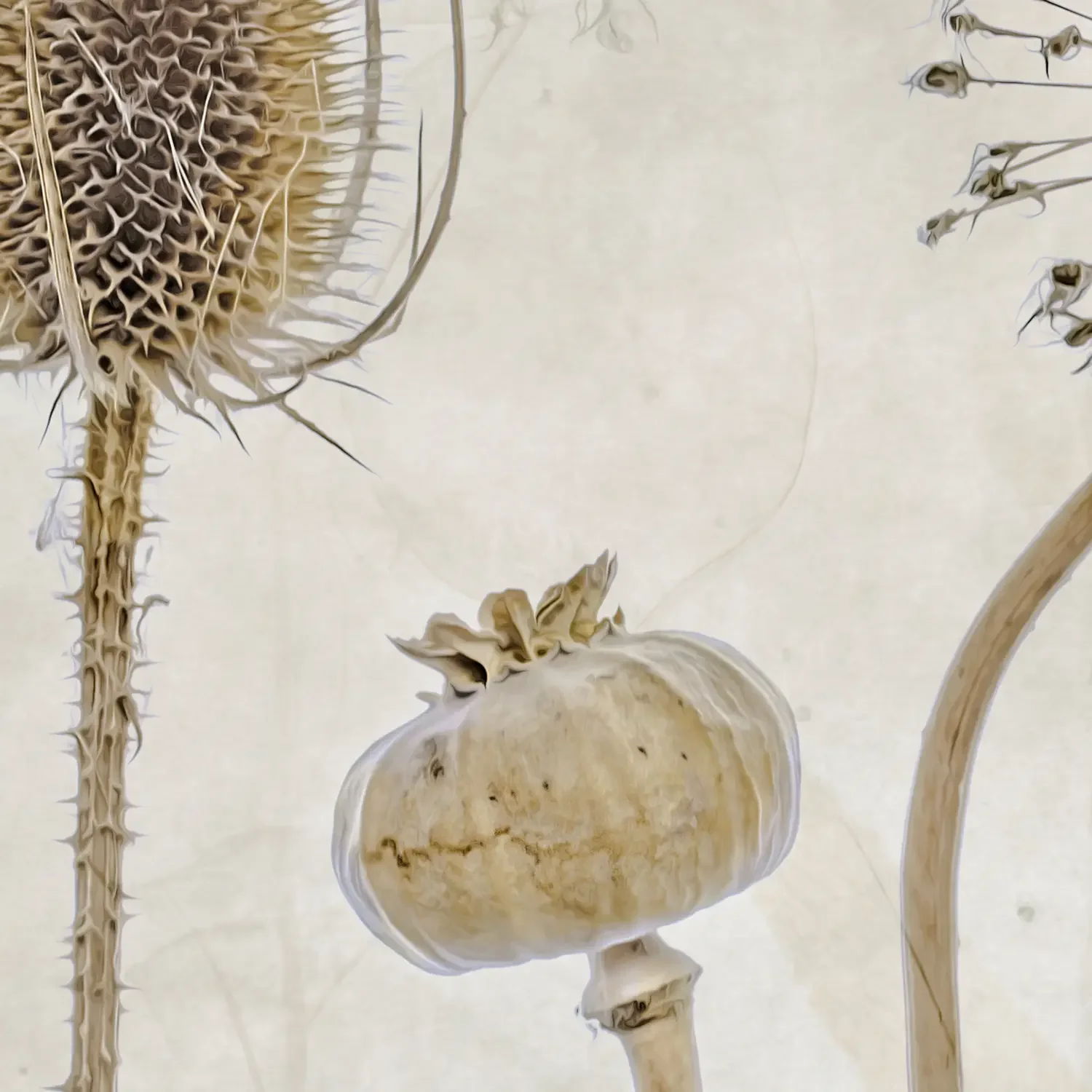 AutumnHeads_detail_1500px.webp
