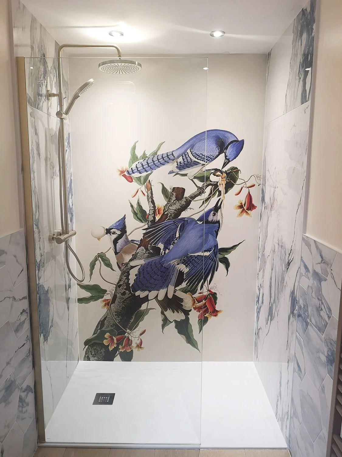 Blue Jay print shower panel feature wall installed in a contemporary bathroom. Blue marble tiles and frameless glass shower screen.