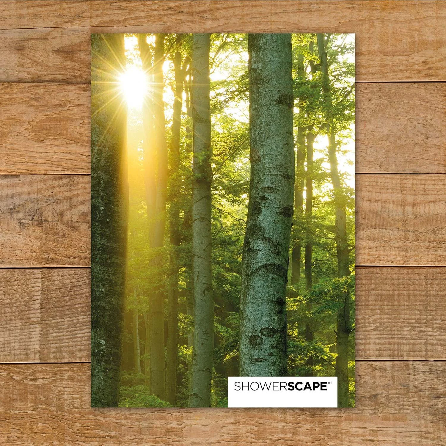 Showerscape composite shower panel sample with a sunny, leafy green woodland design