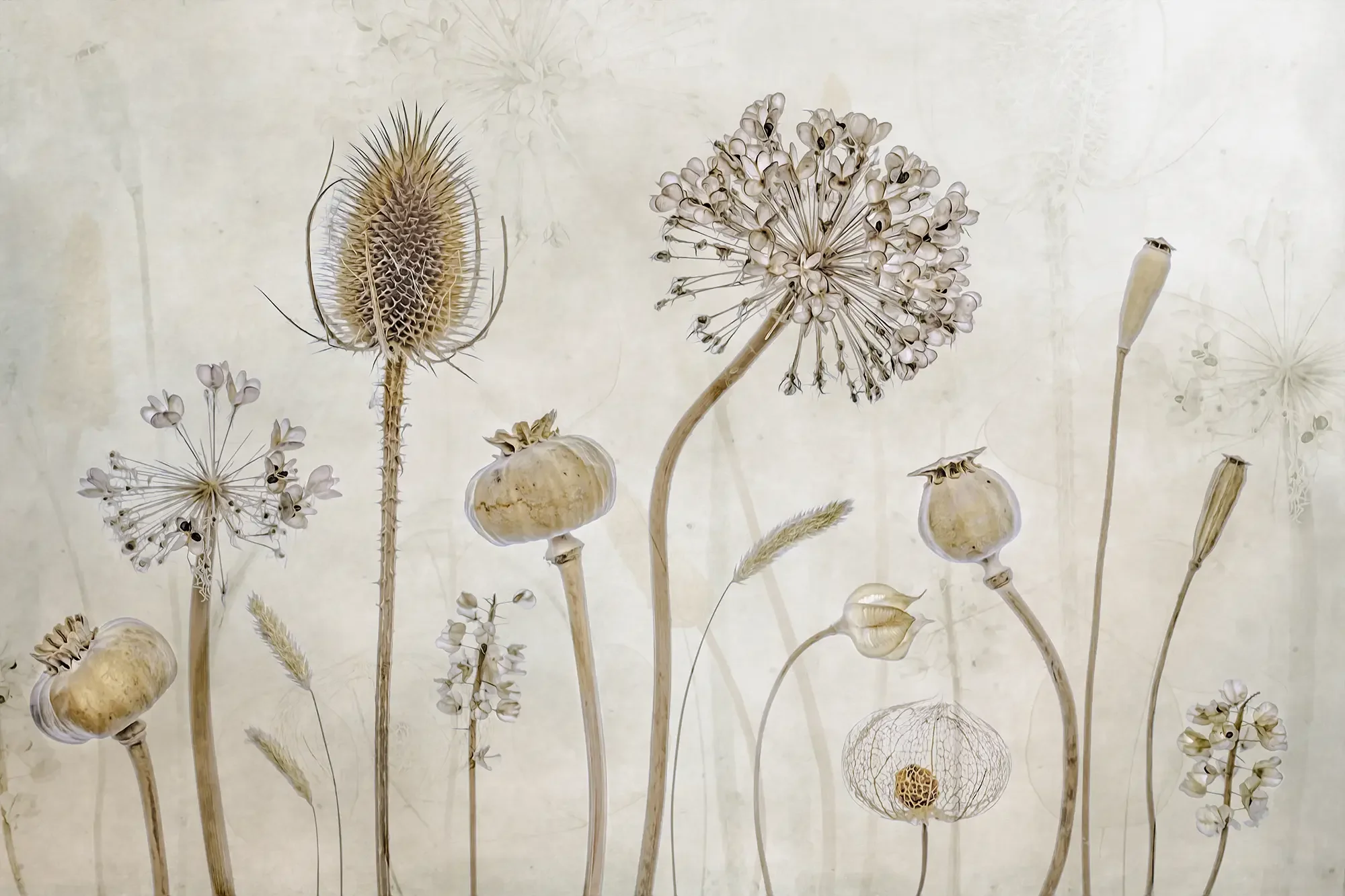 AutumnHeads_2000px.webp