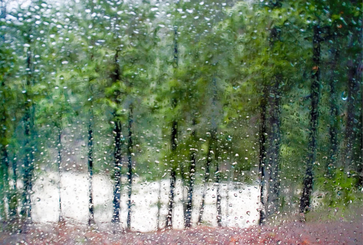 Scott River Pale Storm