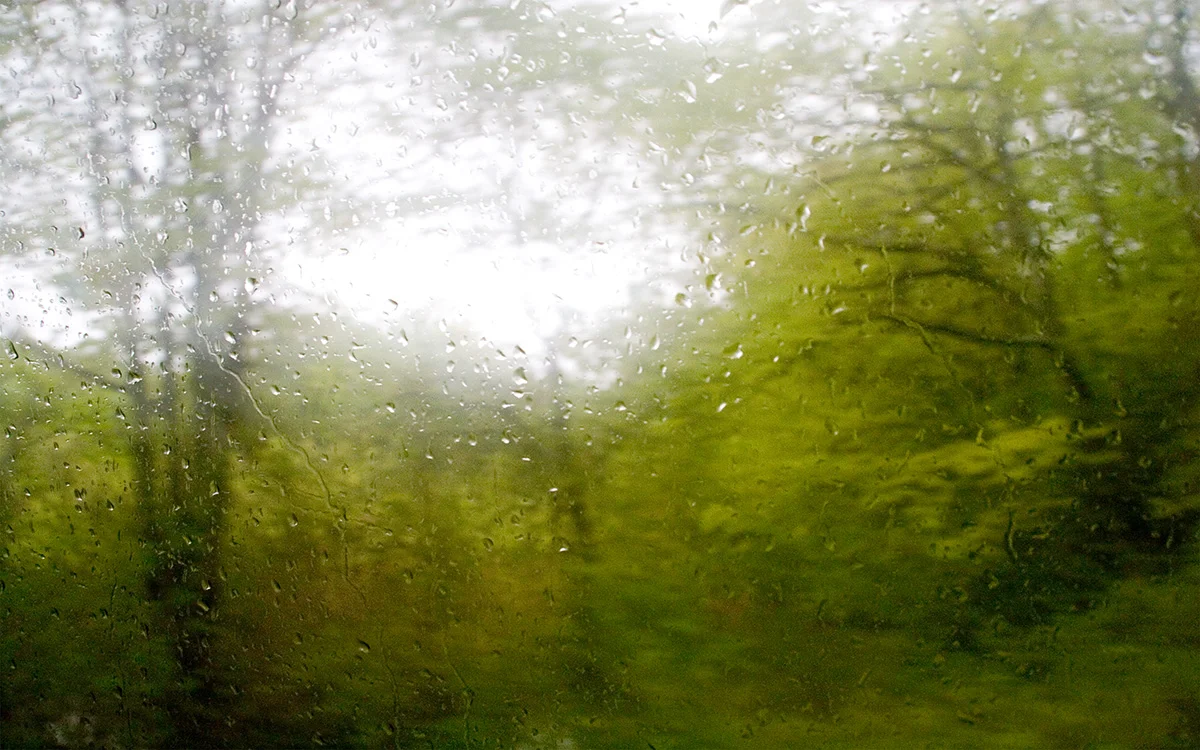 Connecticut Wet Spring