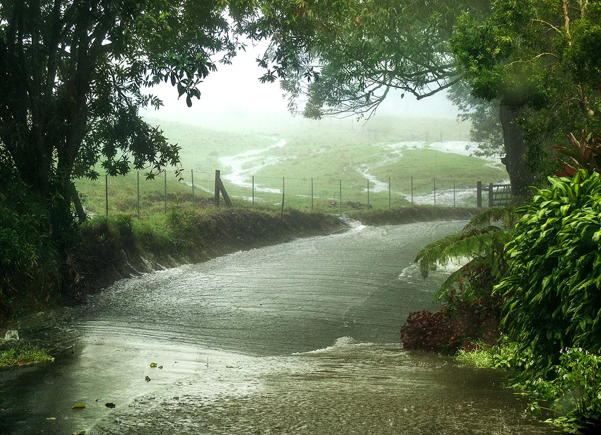 Pa'auilo Mauka, Rain