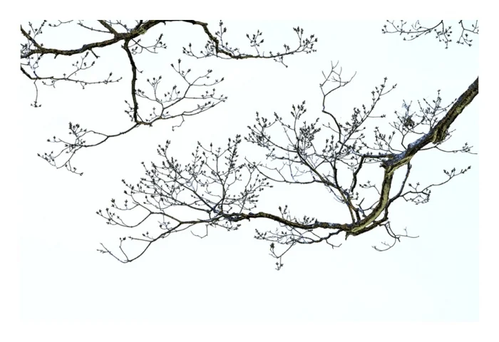 Balance. Digital Print on Varnished Tissue.