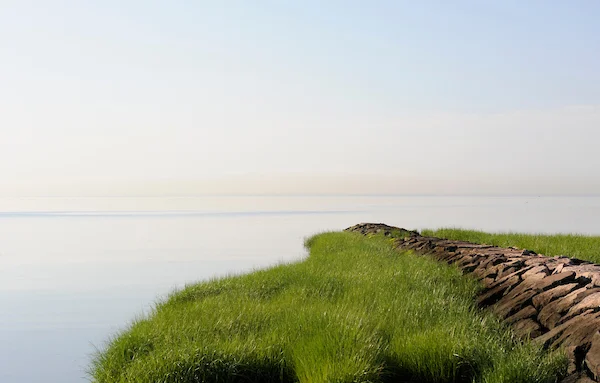 Jetty and Grass