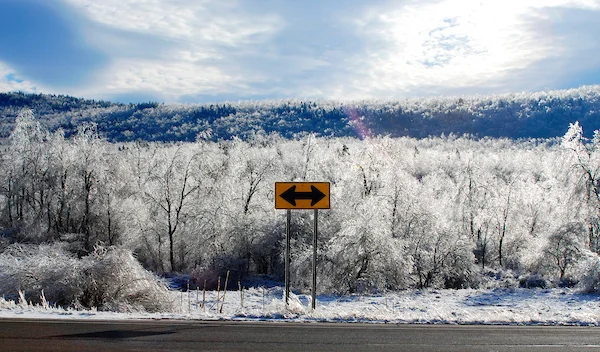 Which Way