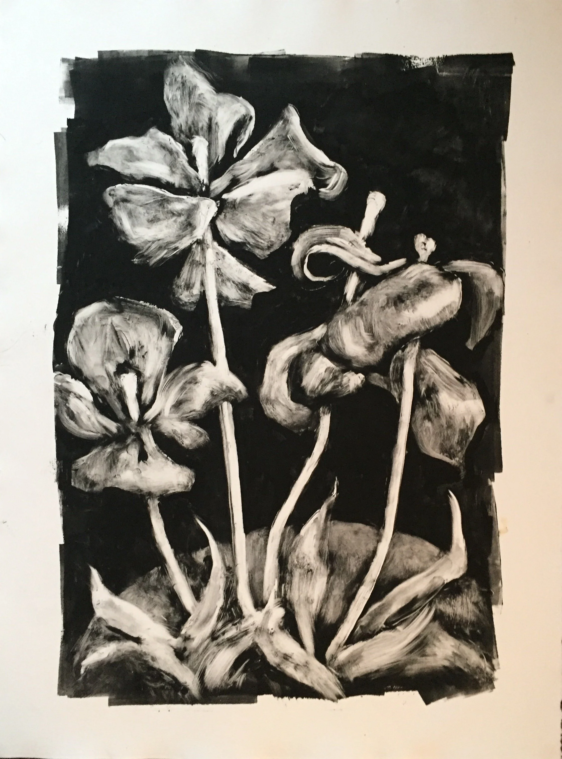 Nightblooms. Ink Monotype on Paper. 24x18