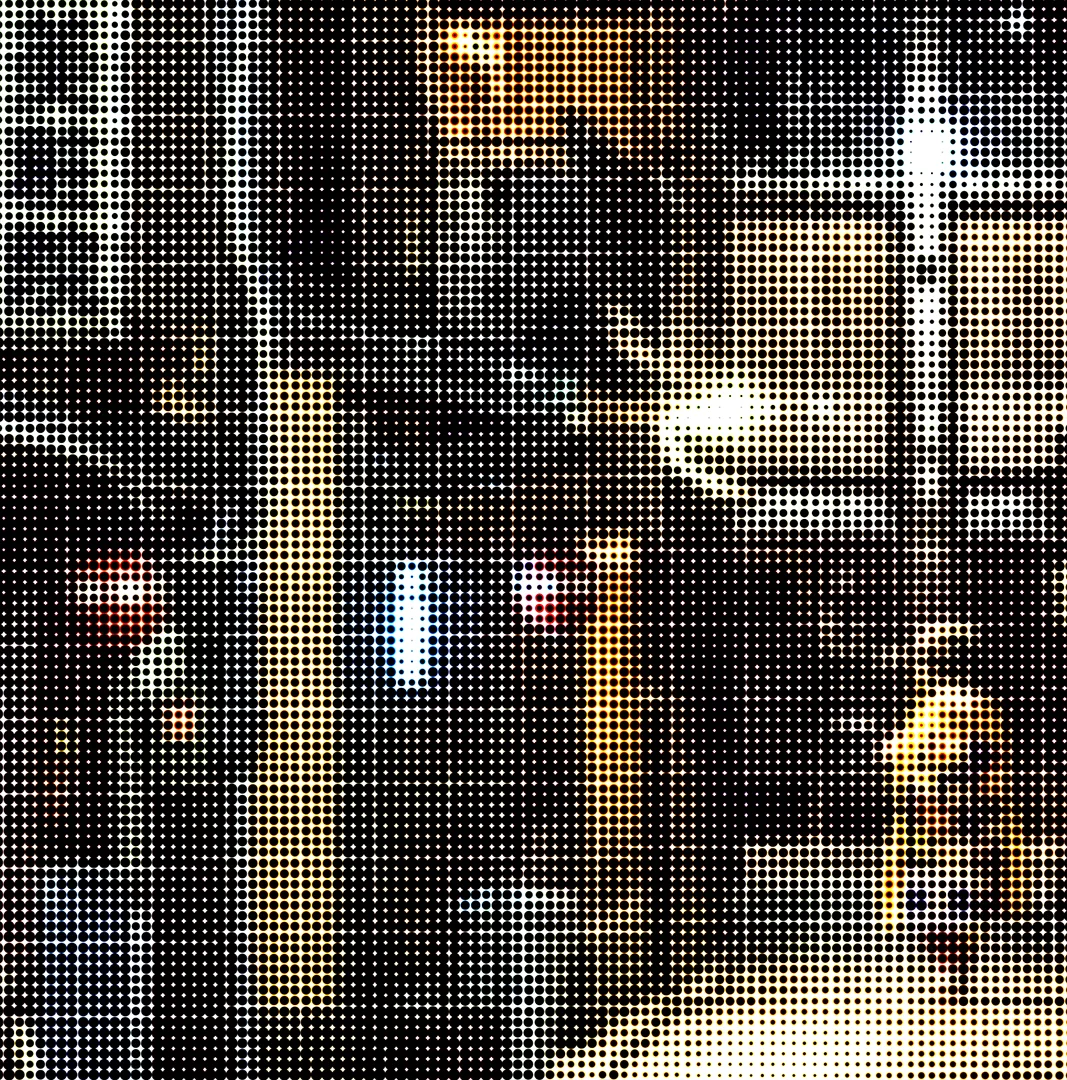 geisha 03 web.jpg