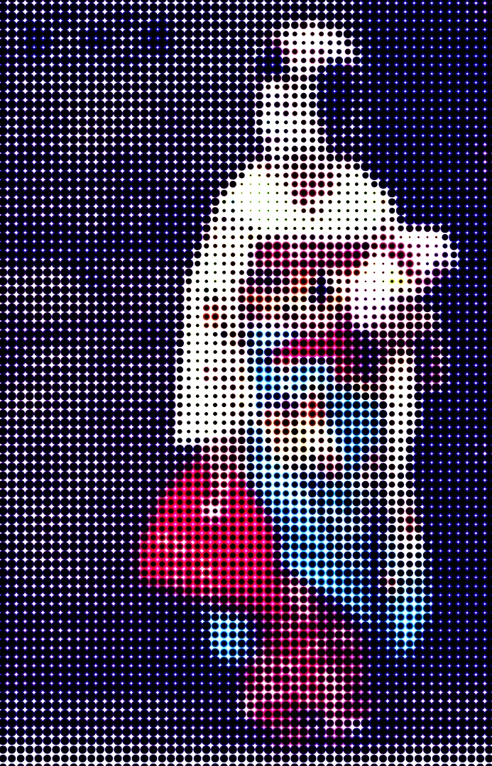 geisha -2 web.jpg