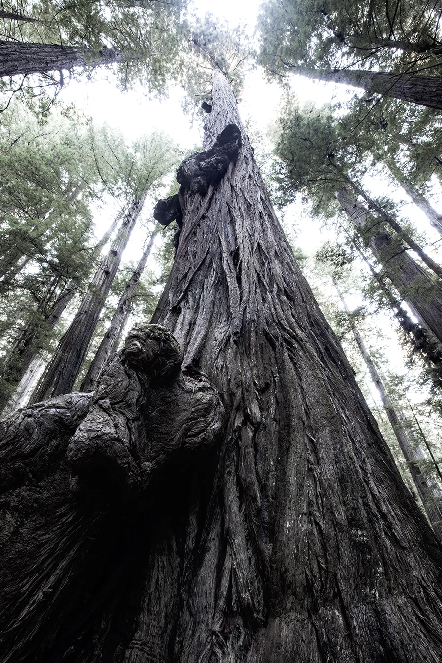 010_West Coast Sample.jpg